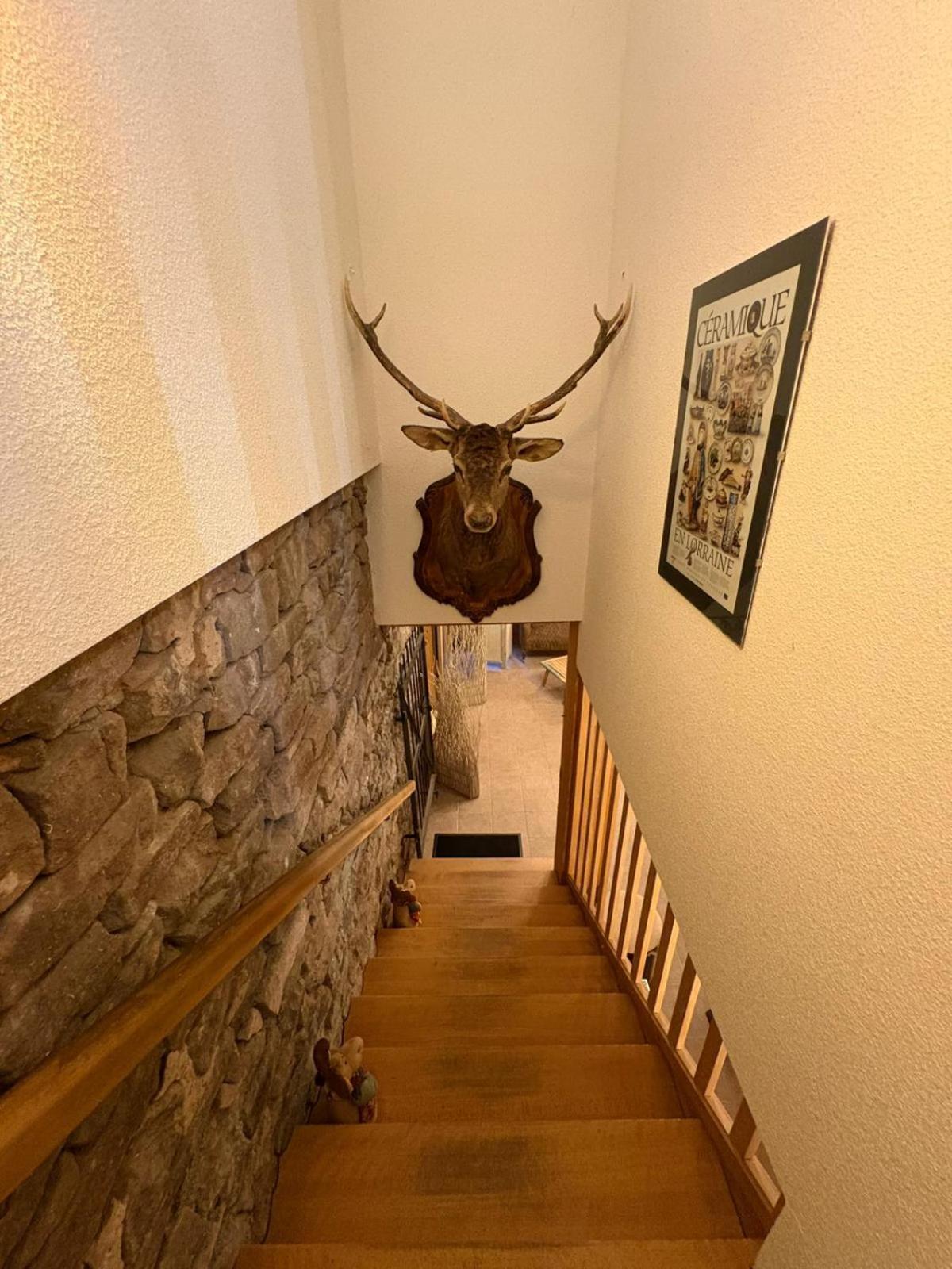 Auberge Du Ruxelier J&D Cheniménil Eksteriør bilde